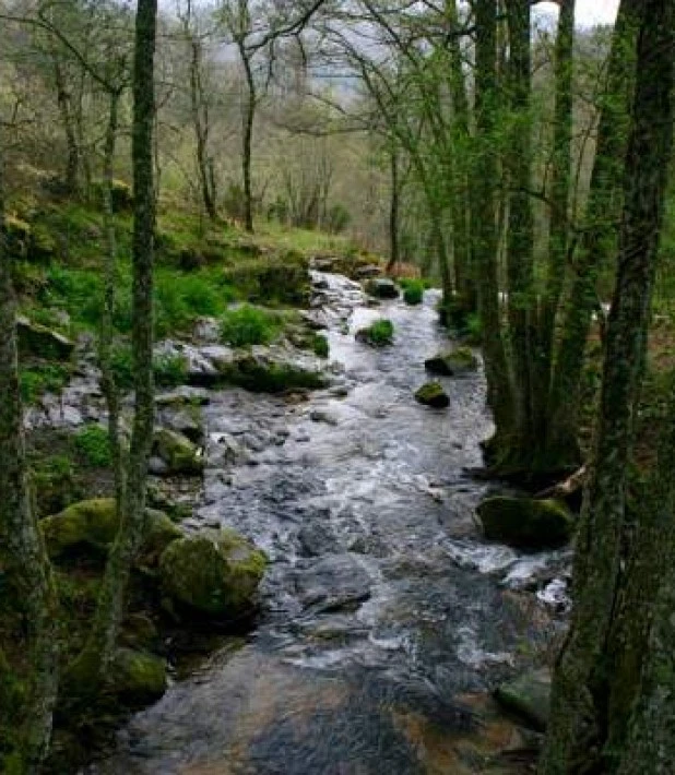 Camino del Agua (Mogarraz)
