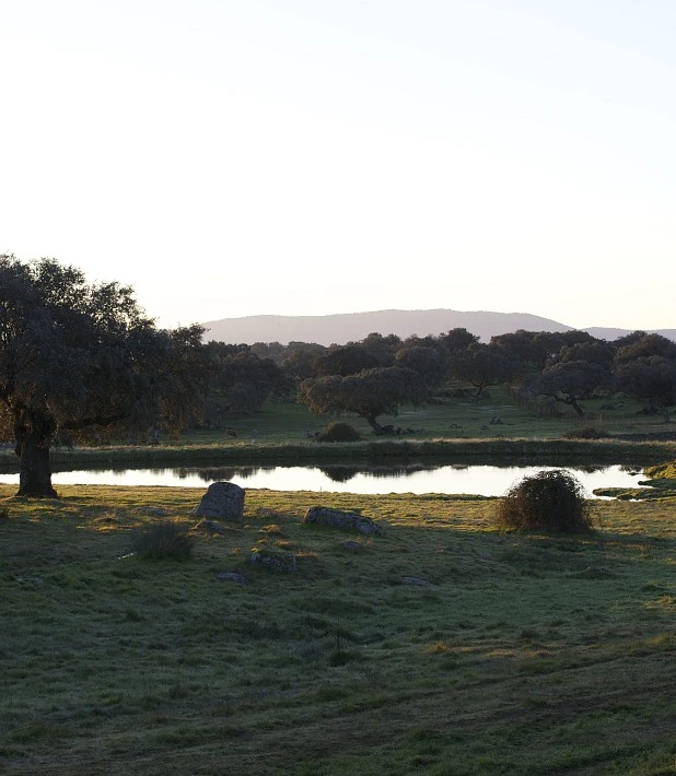 Naturaleza y senderismo