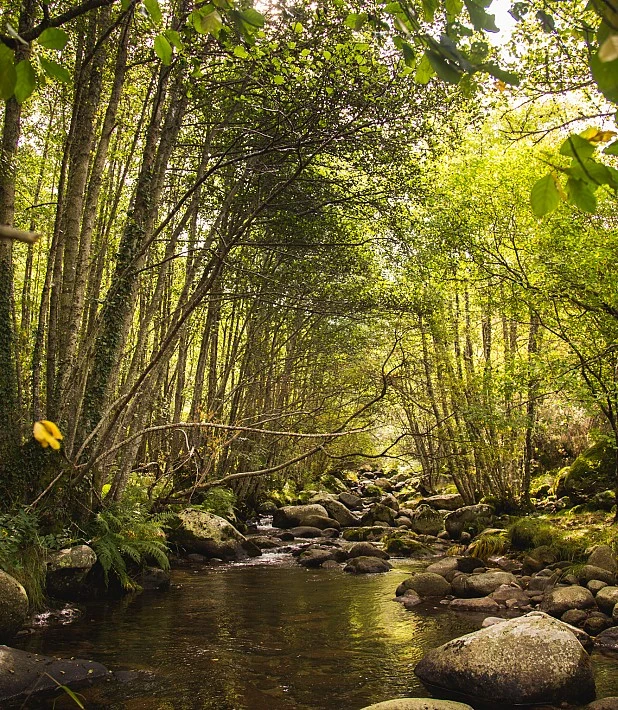 Ruta a Puente Nueva (Candelario)
