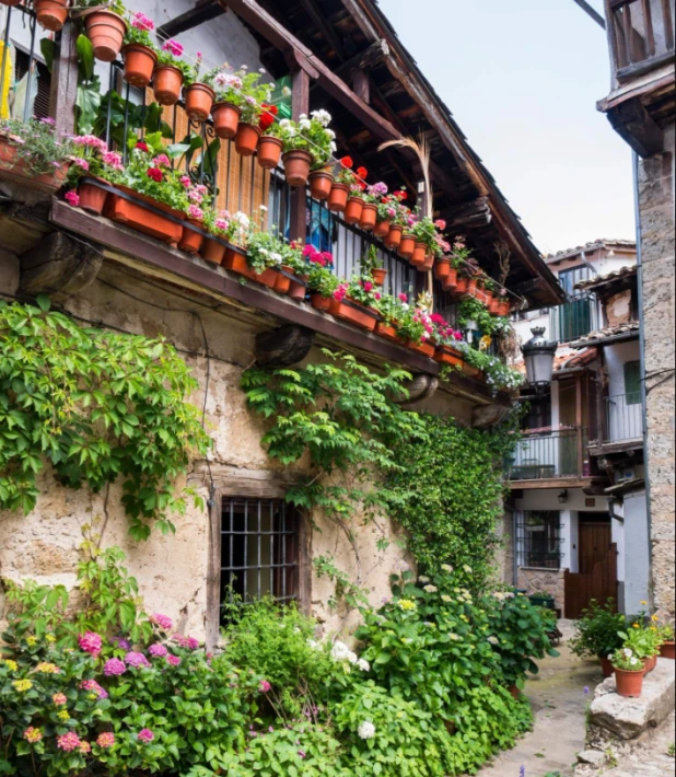 Candelario